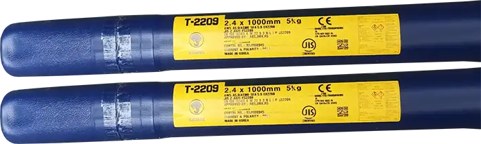 Que hàn Tig Inox T-2209
